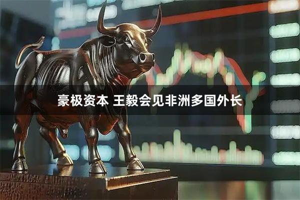 豪极资本 王毅会见非洲多国外长